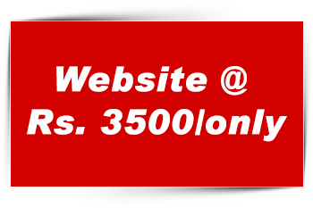 Website at Rs. 3500.00 only